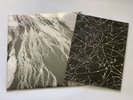 New Jesse Draxler Ltd Edition Reigning Cement 2020 2LP Vinyl W Art Book 492/500