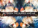 BETWEEN THE BURIED AND ME-PARALLAX: HYPERSLEEP DIALOGS VINYL LP NEUF