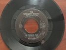 LOUIS NUNLEY My Tennessee Plot JACK DANIEL'S WHISKEY Squire Assn RARE 45 rpm