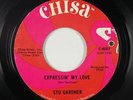 Northern Soul 45 - Stu Gardner - Expressin' My Love - Chisa - VG+ mp3 - promo