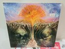 The Moody Blues 
