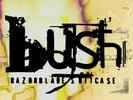 Bush ** Razorblade Suitcase – In Addition **NEW SEALED COLORED RECORD LP VINYL