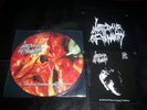 VINYL 7