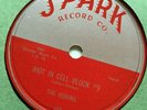 The Robins - Riot In Cell Block #9 / Wrap It Up 78