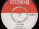 THE GAYLADS IF YOU KNEW  FESTIVAL DAY  BACK2BACK STUDIO ONE ROCKSTEADY THRILLERS