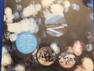 PINK FLOYD Obscured By Clouds *SEALED* Rare 1972 Harvest SW-11078 orig LP hype