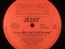 Jesee ?– You Will Never Know 12
