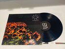 Lifetime Background Vinyl Record 1992 Hardcore Punk Oop Rare New Age Records
