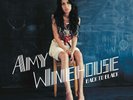 AMY WINEHOUSE Back to Black Deluxe Edition 2 x Vinyl New Sealed LP No Reserve