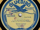 IRISH - (Bb B-4710) FLANAGAN BROTHERS / MICHAEL COLEMAN