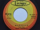 GRUPO TERREMOTO   MARBELLA   GUITAR CUMBIA listen