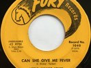 LITTLE JUNIOR LEWIS Can She Give Me Fever MOD R&B SOUL 45 hear
