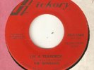 THE NEWBEATS Im A Teardrop HICKORY PROMO THE JERMS  NORTHERN SOUL USA 45