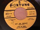 45 RPM Pete De Bree FORTUNE 200 Hey Mr Presley /  Long Tall Lou VG++