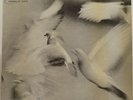 DONALD BYRD   FREE FORM   BLUE NOTE  MONO