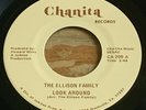 The Ellison Family -Look Around- Deep Soul Gospel R&B 45 on Chanita - Hear