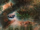 PINK FLOYD A Saucerful of Secrets LP VINYL UK Columbia 1968 6 Track Vinyl LP