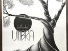 Joel Fairstein Umbra LP Thunderhead Records RARE PRIVATE PRESS JAZZ FUNK