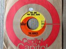 SURF POP 45: HONEYS The One You Can’t Have/From Jimmy With Tears BRIAN WILSON