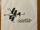 Saetia - Venus & Bacchus/One Dying Wish 7” 1997  emo screamo Level Plane Records