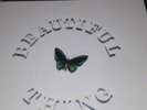 The Stone Roses vinyl Beautiful Thing 12