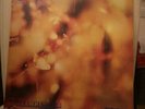 STEAMHAMMER (aka Reflection) 1969 CBS Records 63611 Stereo Vinyl LP orange label