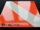 RARE VAN HALEN: Diver Down Original '82 German 11-track vinyl LP Archive Quality