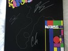 Wallows Signed Remote Pink Etched Vinyl Authentic Autograph Dylan Braeden Cole