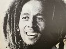 Bob Marley And The Wailers. Kaya. Vinyl Album. 1978