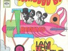 THE BEATLES 45 HELLO GOODBYE+PS  GERMANY RARE 1967