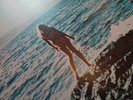 Vintage 1972 Joni Mitchell For The Roses Vinyl. U.K First Pressing. A1 B1.