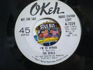 THE OPALS   I'M SO AFRAID    Okeh Promo    Northern Soul