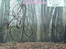 TWINK - THINK PINK DBL LP RECORD STORE DAY 2019 Double Signed By TWINK