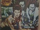 Diamond Dogs Vinyl Signed by David Bowie (Certified by Everything Collectible)