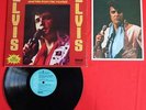 Elvis 