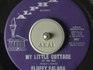 Fluffy Falana  - My Little Cottage - Alpha - N / Soul / Mod