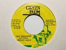 Prince Alla (Keith Blake) “Cry Freedom” and “Version” 1991 Green Farm Records