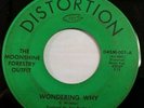 MOONSHINE FORESTRY OUTFIT--WONDERING WHY--DISTORTION-D45M-01--PRIVATE PSYCH/FOLK
