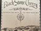 Black Stone Cherry – Between The Devil & The Deep Blue Sea ( incl ois ) lp