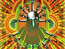 GOAT Fuzzed In Europe - 12