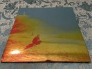 FLAMING LIPS/ THE TERROR ORIGINAL 2LP + 7”