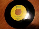 Beatles scarce Aqua Bracket Logo - 