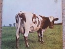 Pink Floyd Atom Heart Mother SHVL781 Gatefold LP A-2G/B3 Harvest inner Vinyl VG+