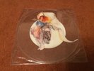 FISH 12” 45rpm PICTURE DISC ( A Gentleman’s Excuse Me ).