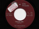 Delacardos - Got No One / She's The One I Love (Soul, 45) 1001
