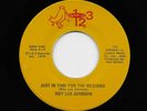 Roy Lee Johnson - Just In Time For The Wedding / Stormy Feelings (Soul, 45) 716