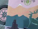 Big Country Wonderland 12” Clear Vinyl Signed By Stuart Adamson - COUNX5
