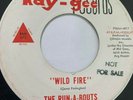 Rare Ohio Garage Surf Promo 45/ Run-A-Bouts 