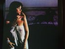 LINDA RONSTADT HASTEN DOWN THE WIND ORIGINAL MASTER RECORDING MoFi #458 LP NM