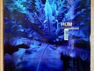 Hum Downward Is Heavenward Vinyl LP MGH 002 First Pressing Astronaut 1997 1998